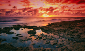 The Red Shore