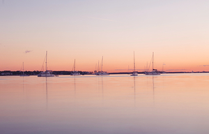 Harbor of Quiet Light