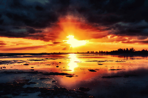 Sun Heart Beat 