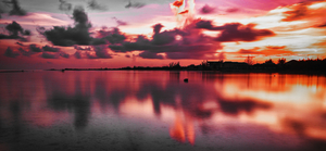 Sky Fire