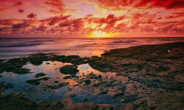 The Red Shore Print
