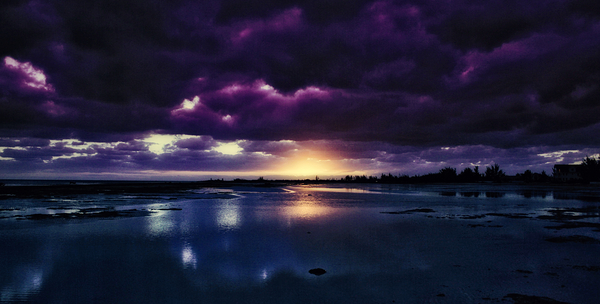Violet Hour Print