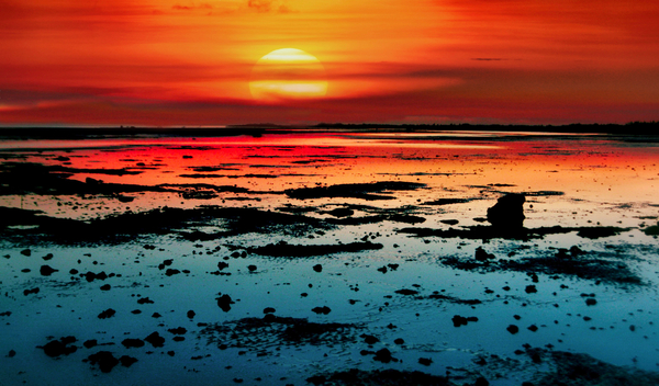 Wetlands Print