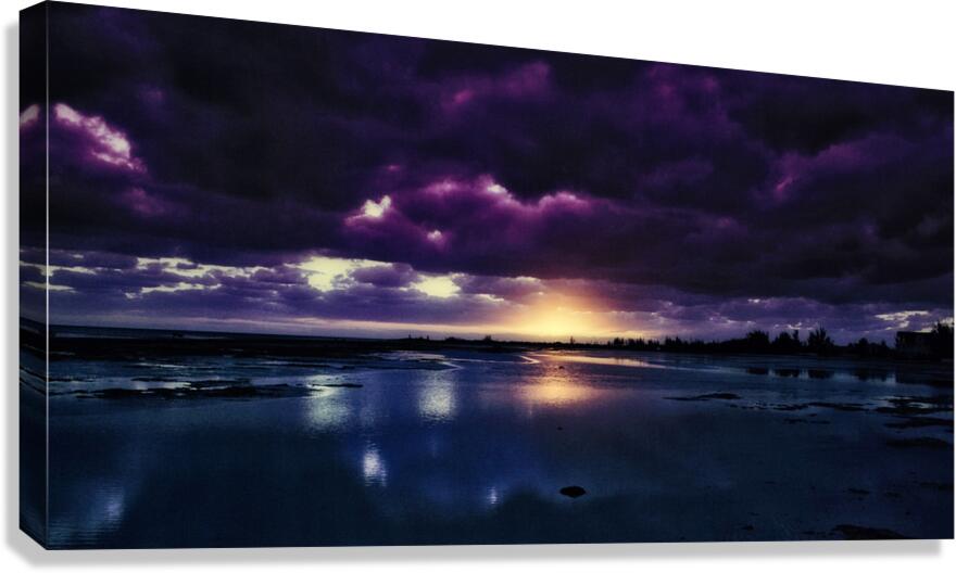 Violet Hour Canvas Print