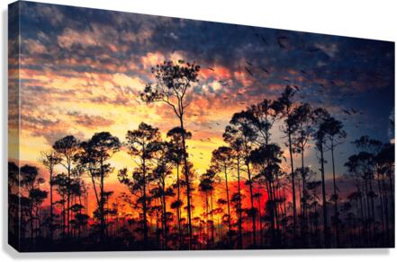 Burning Trees Canvas Print