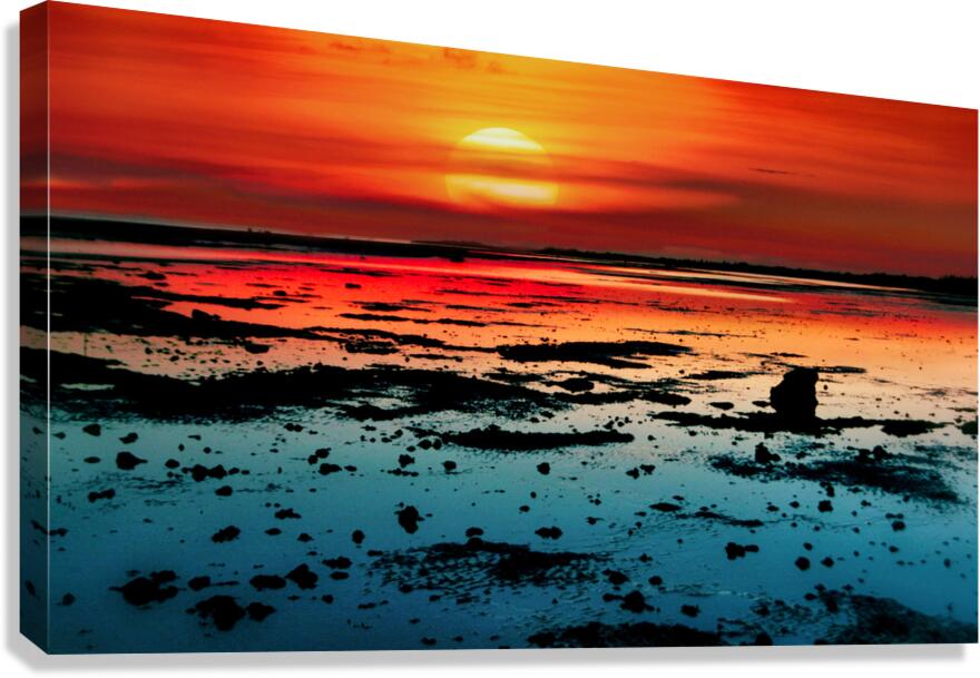 Wetlands Canvas Print