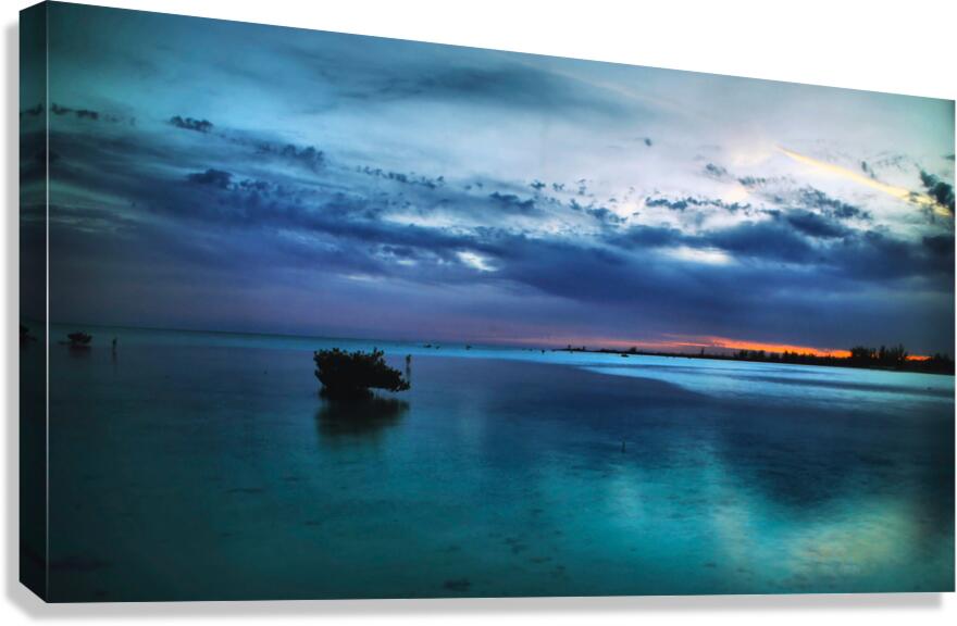 Nirvana  Canvas Print