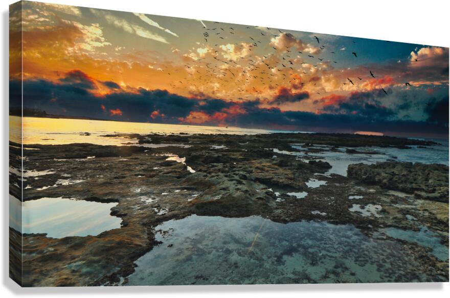 Birdrise Canvas Print