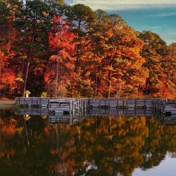 Reflection of October