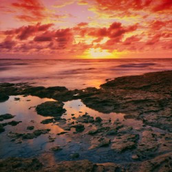 The Red Shore