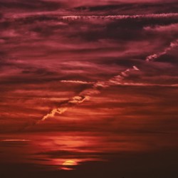 Cotton Candy Skies