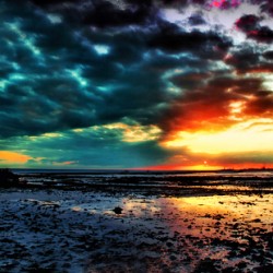 Embers of the Falling Sky