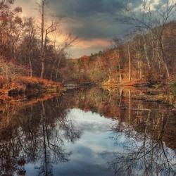 Still Water Late Autumn
