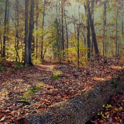 Autumn Passage