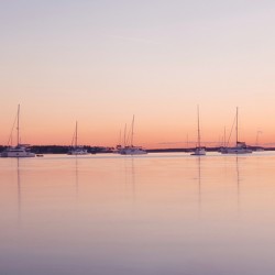 Harbor of Quiet Light