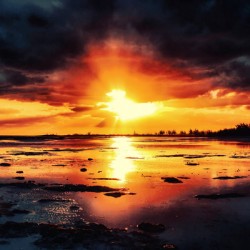 Sun Heart Beat 
