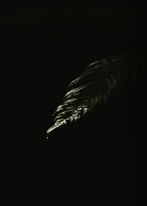 Eclipse 