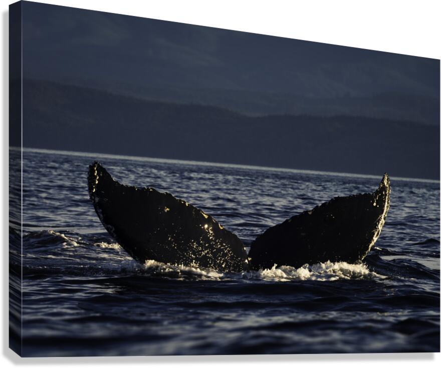 Crescent Canvas Print