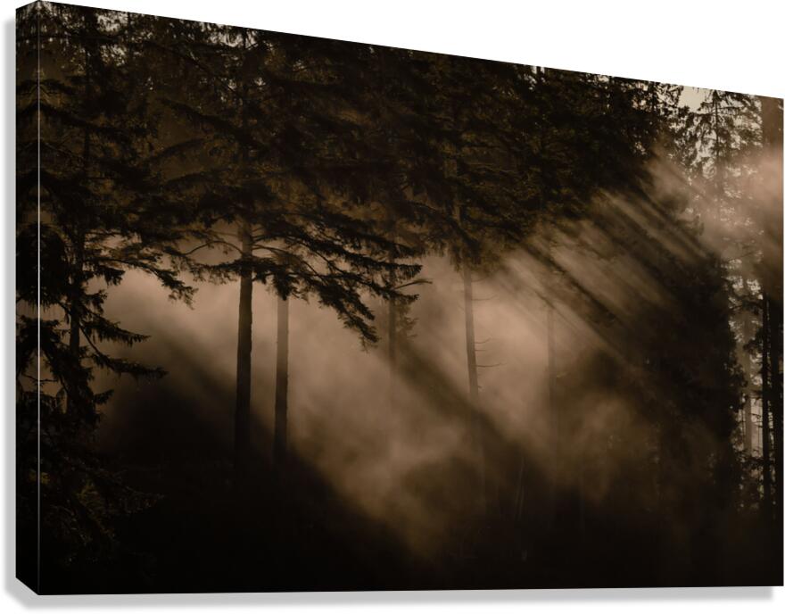Daybreak  Canvas Print