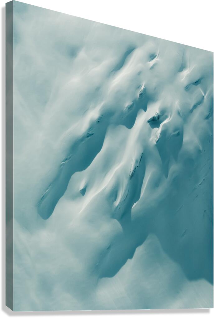 Drift  Canvas Print