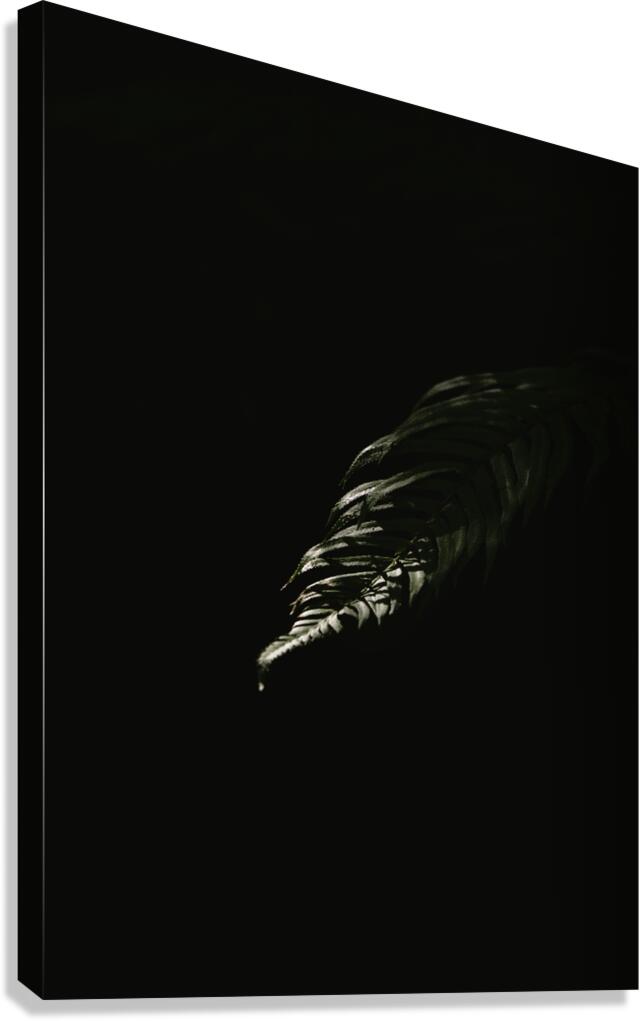 Eclipse  Canvas Print