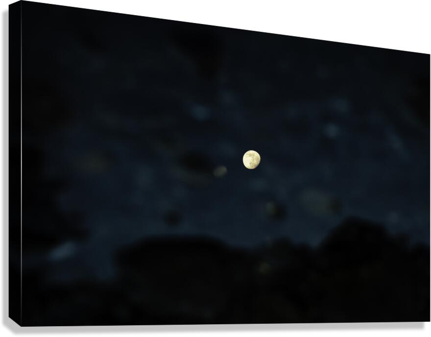 Portal  Canvas Print