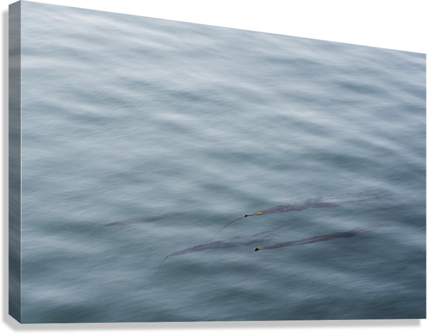 Serenity Canvas Print