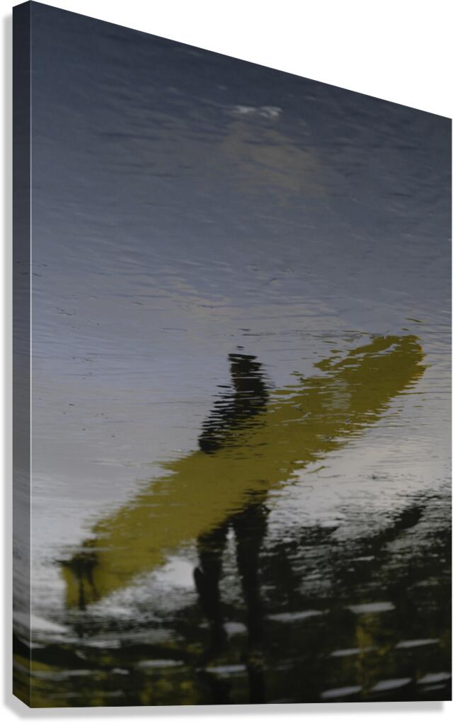 Honey Canvas Print