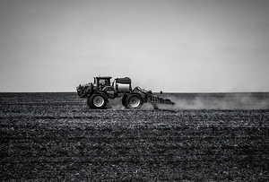 Cultivated Horizon