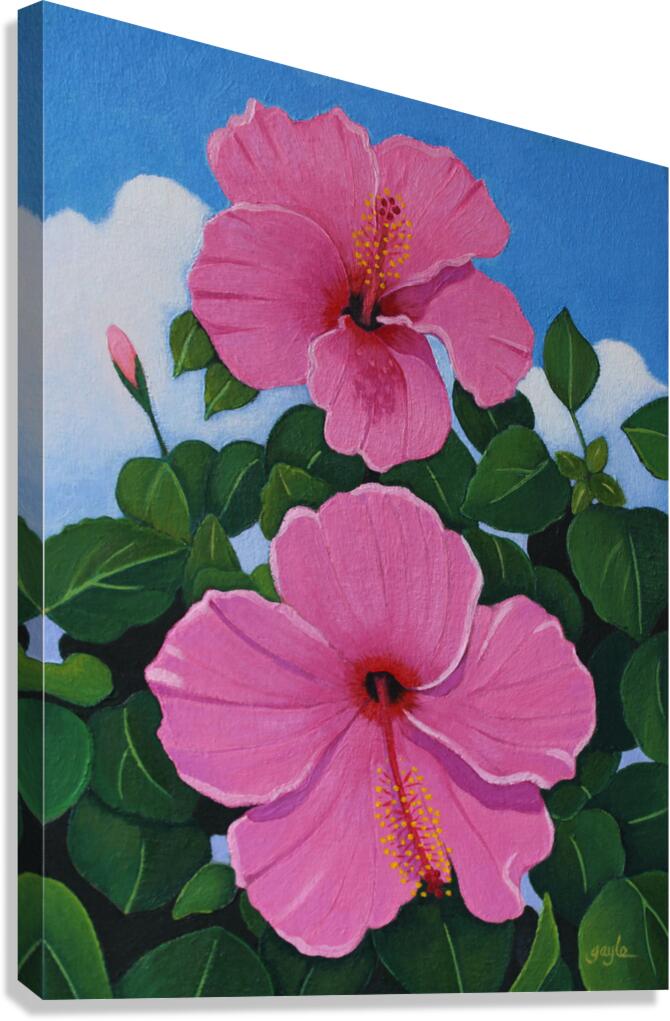 Summer Pinks Canvas Print