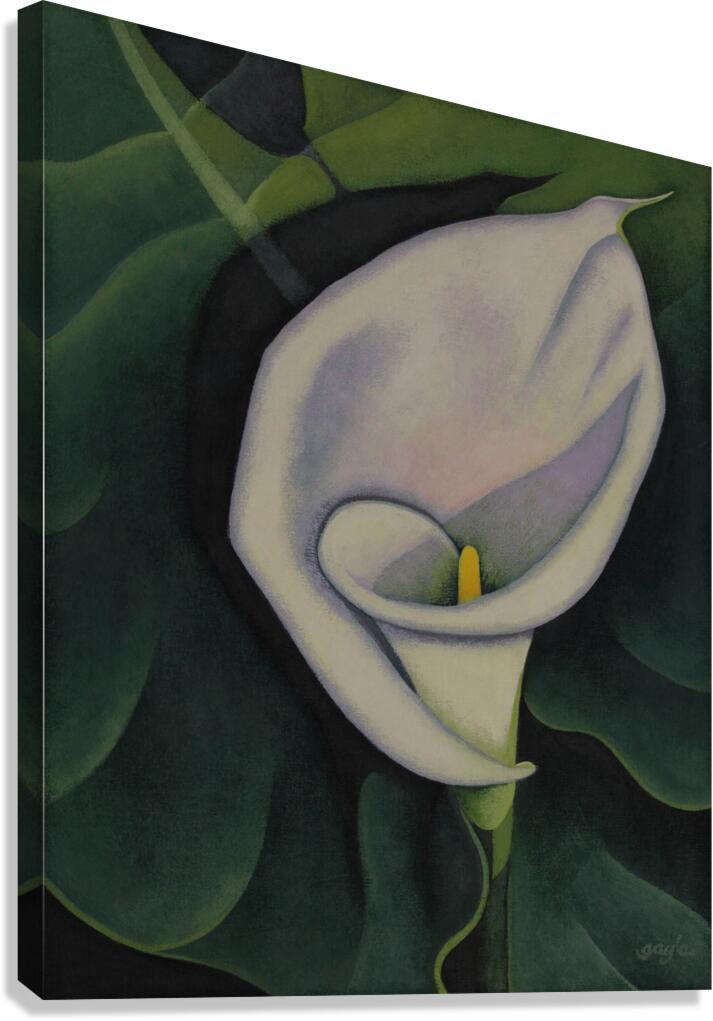 Calla Lily Canvas Print