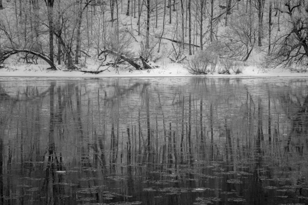 Reflections by JOHN WALLACE