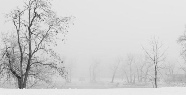 Winter fog by JOHN WALLACE