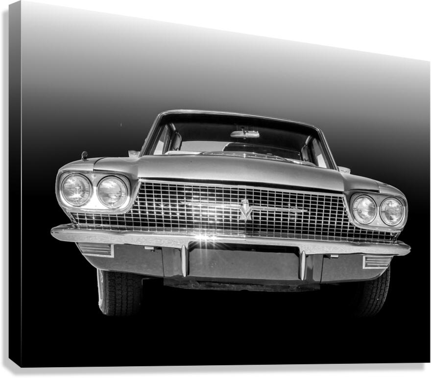Thunderbird Canvas Print