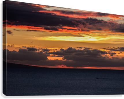 Going Home  Canvas Print