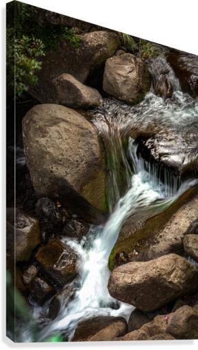 Water Fall  Canvas Print