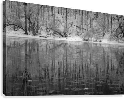 Reflections Canvas Print