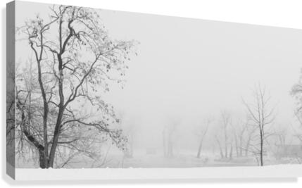 Winter fog Canvas Print