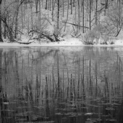 Reflections