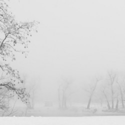 Winter fog