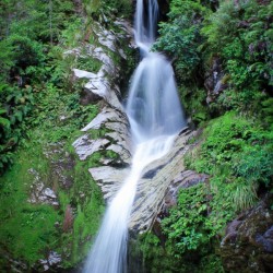 Whimsical Waterfall