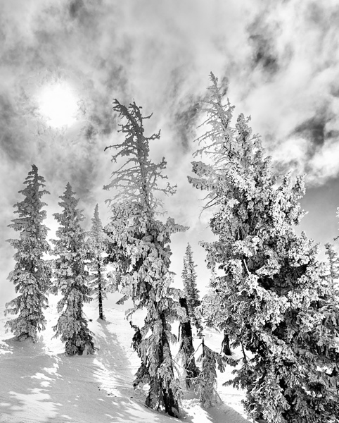 Frozen Giants  Print