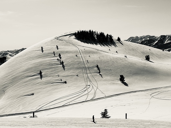 Sepia Skiers  Print