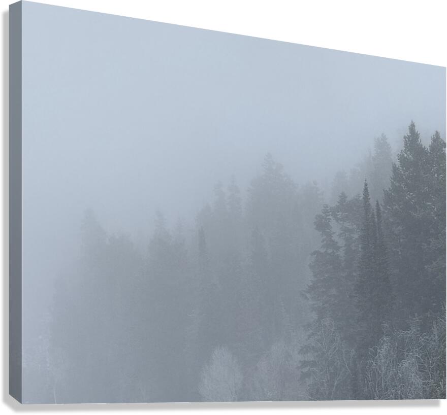 Mountain Mist Canvas Print