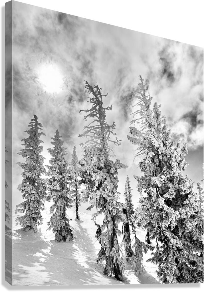 Frozen Giants  Canvas Print