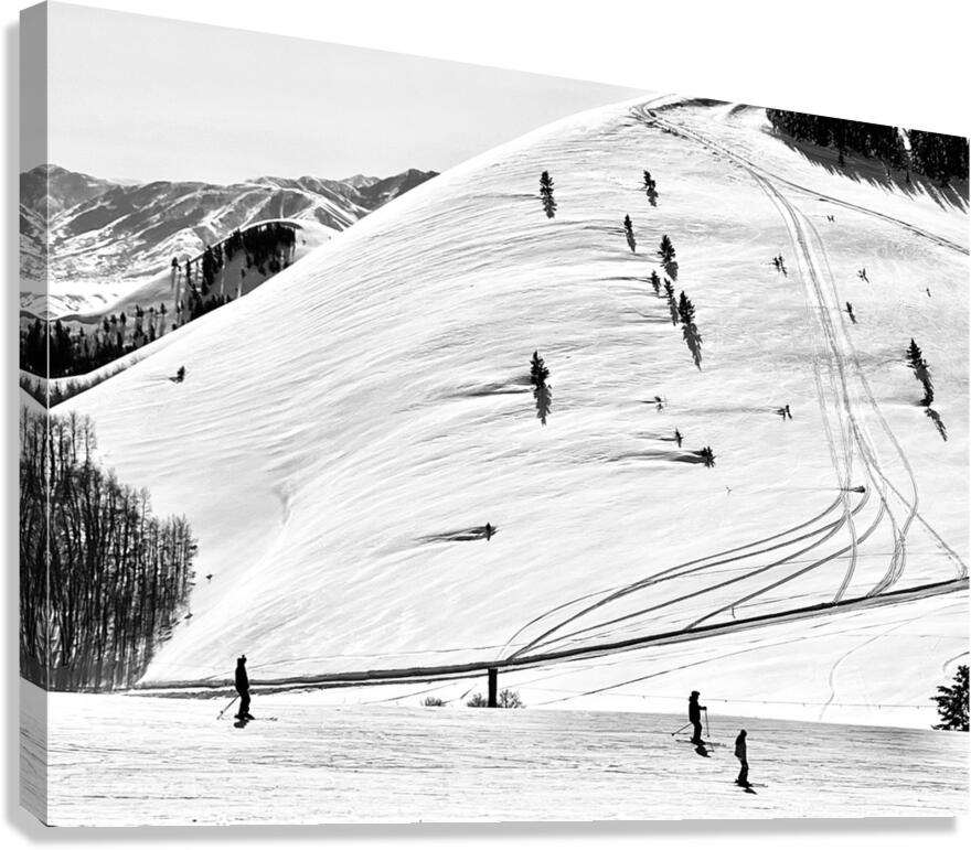 Skiers  Canvas Print