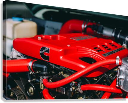 4J3A6768 Canvas Print