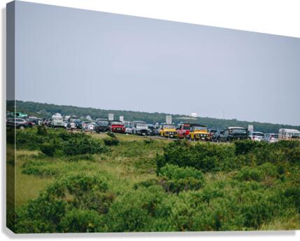 SF1A6780 Canvas Print
