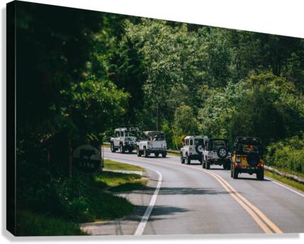 SF1A6930 Canvas Print
