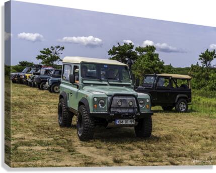 MJD06349 Canvas Print